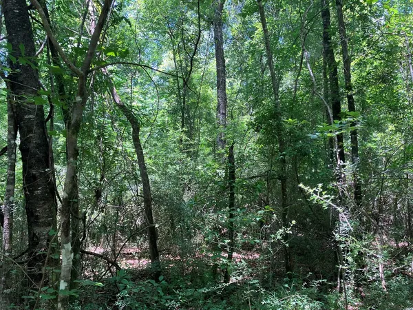 $45,500 | 48 Hwy Sandy Hook Ms 39667, Sandy Hook, MS 39478