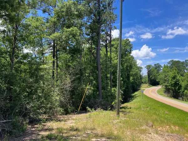 $45,500 | 48 Hwy Sandy Hook Ms 39667, Sandy Hook, MS 39478