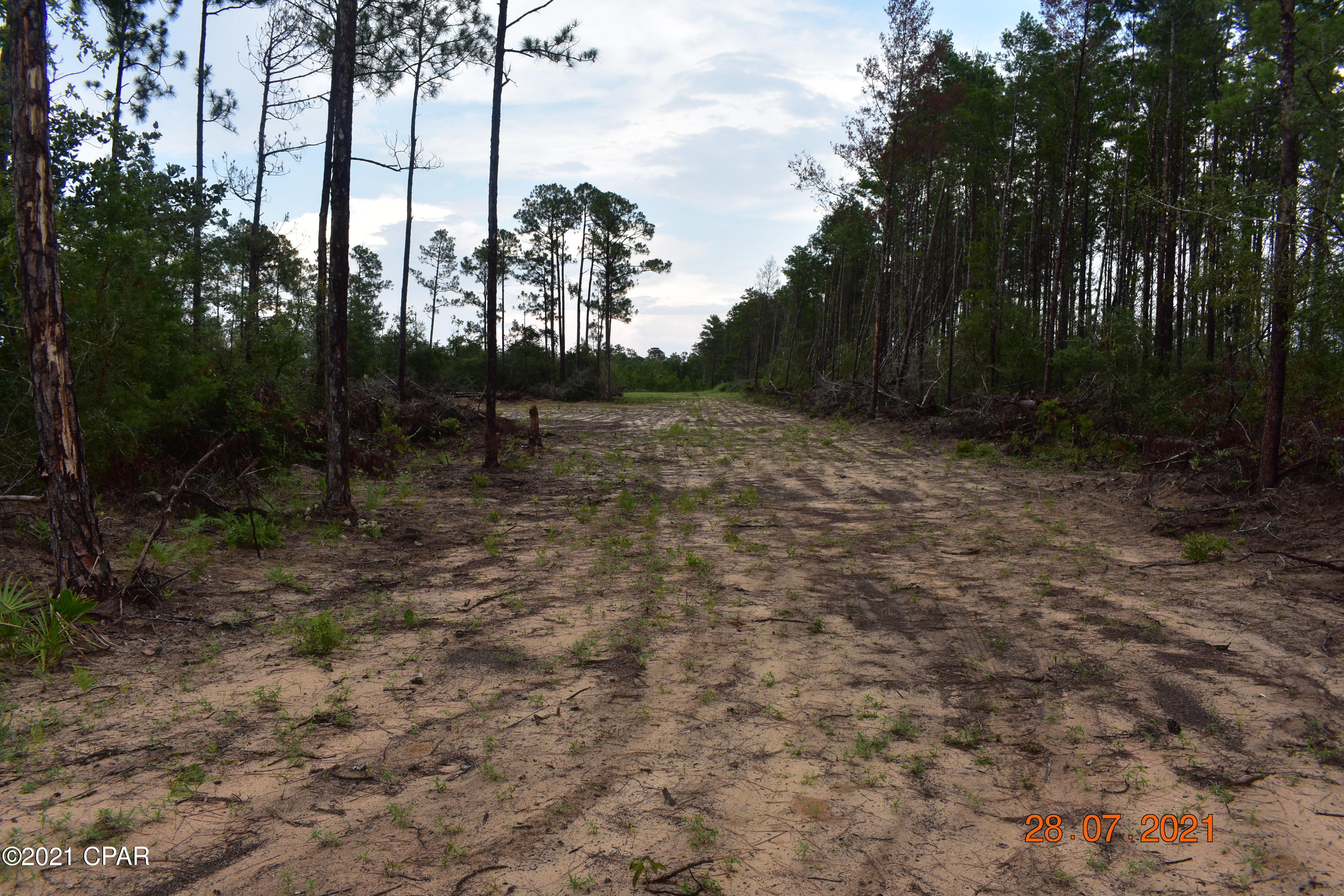 3417 Diddly Road Chipley, FL 32428 - Photo 11 of 19 Gallery Image 11