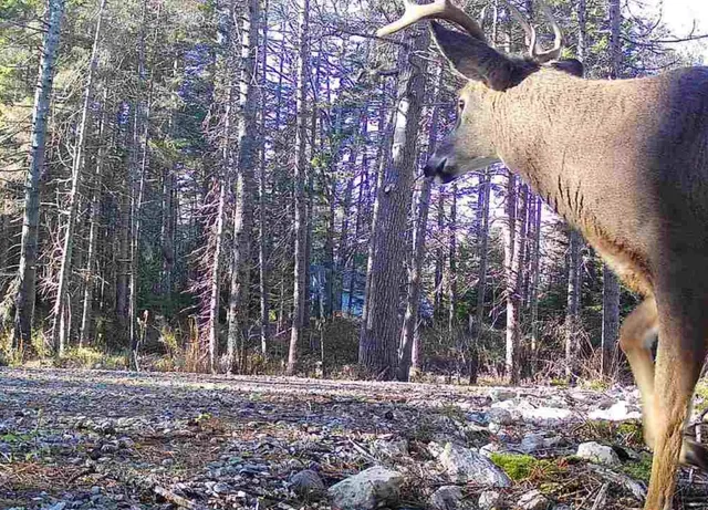 $249,000 | 774 Spruce Head Road, St. George, ME 04859