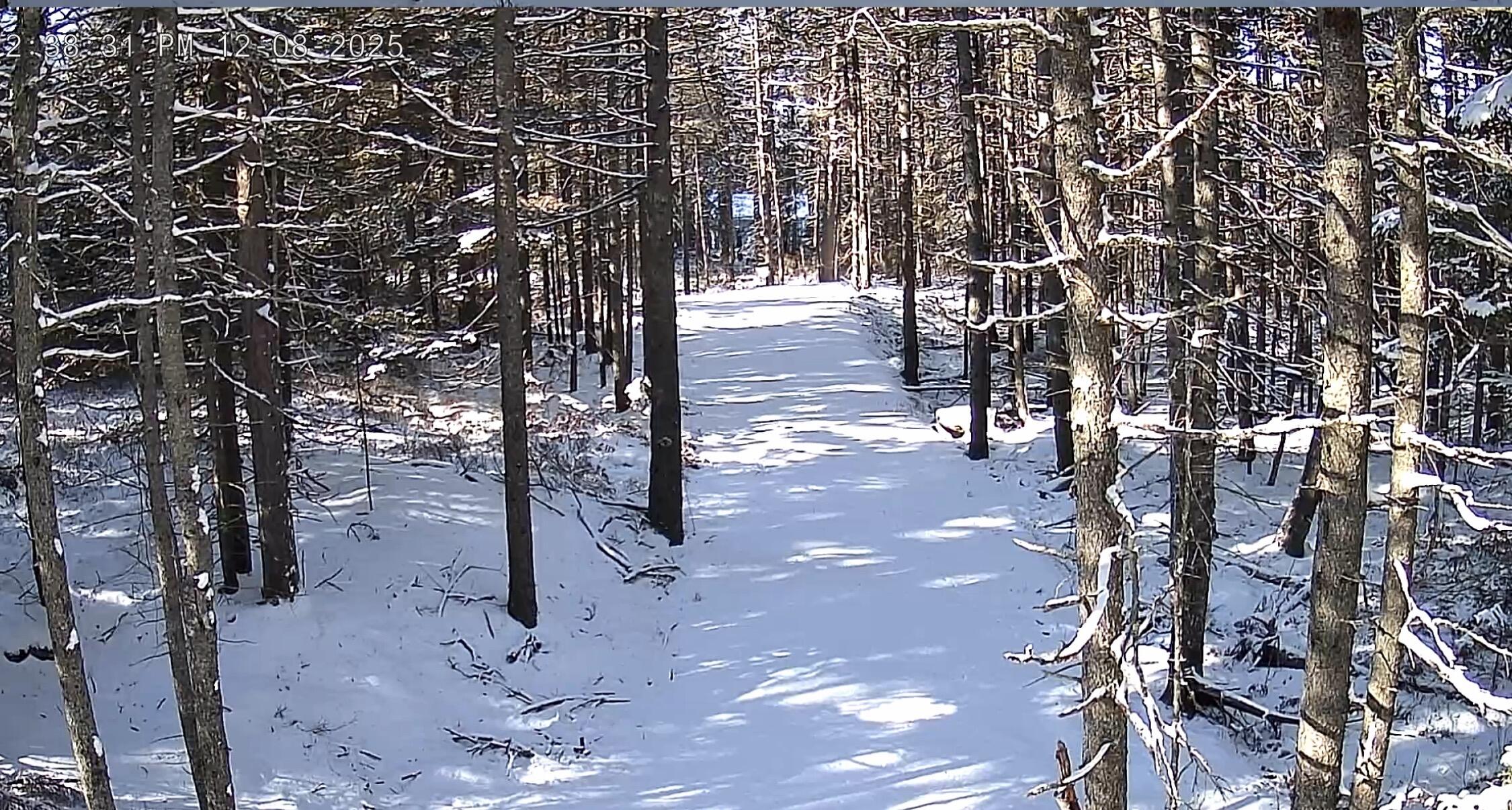 774 Spruce Head Road St. George, ME 04859 - Photo 3 of 8 Pic 3