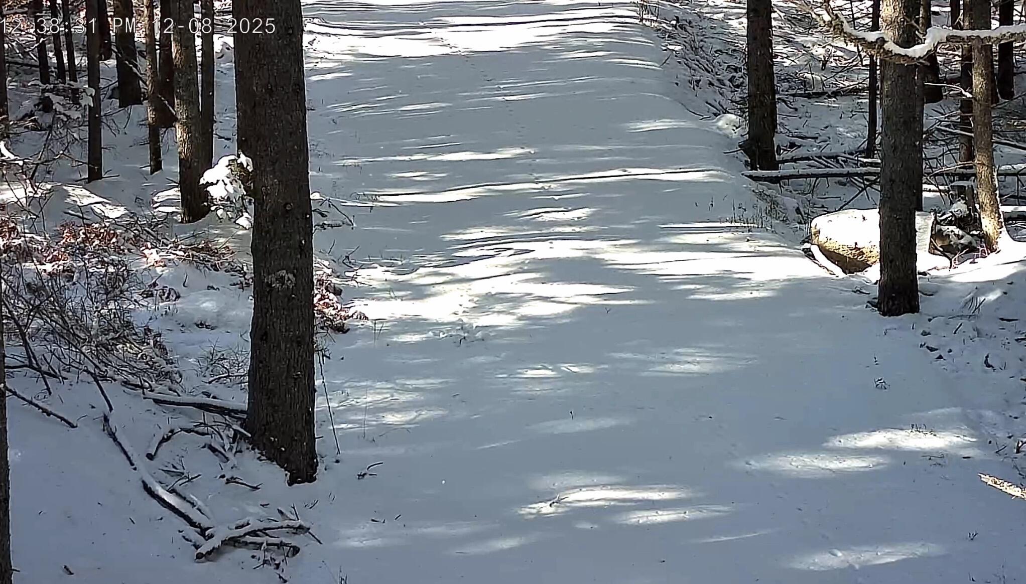 774 Spruce Head Road St. George, ME 04859 - Photo 4 of 8 Pic 4