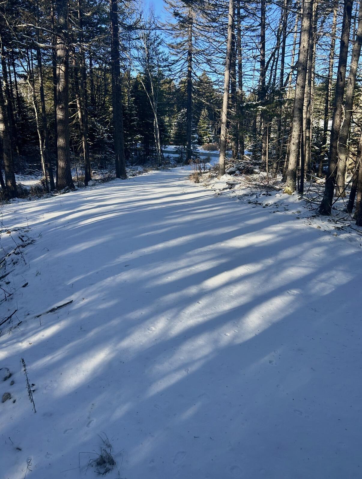 774 Spruce Head Road St. George, ME 04859 - Photo 5 of 8 Pic 5