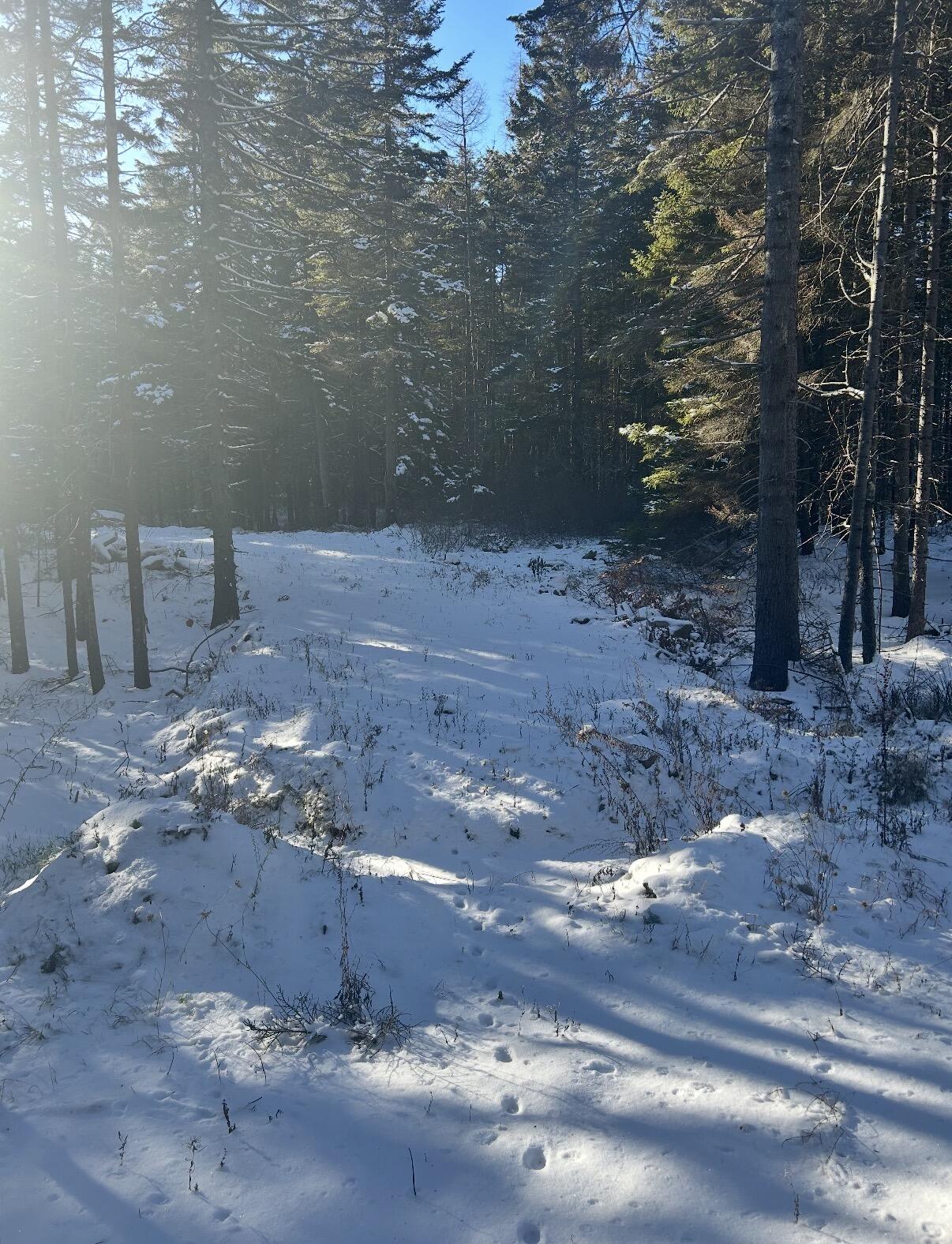 774 Spruce Head Road St. George, ME 04859 - Photo 6 of 8 Pic 6