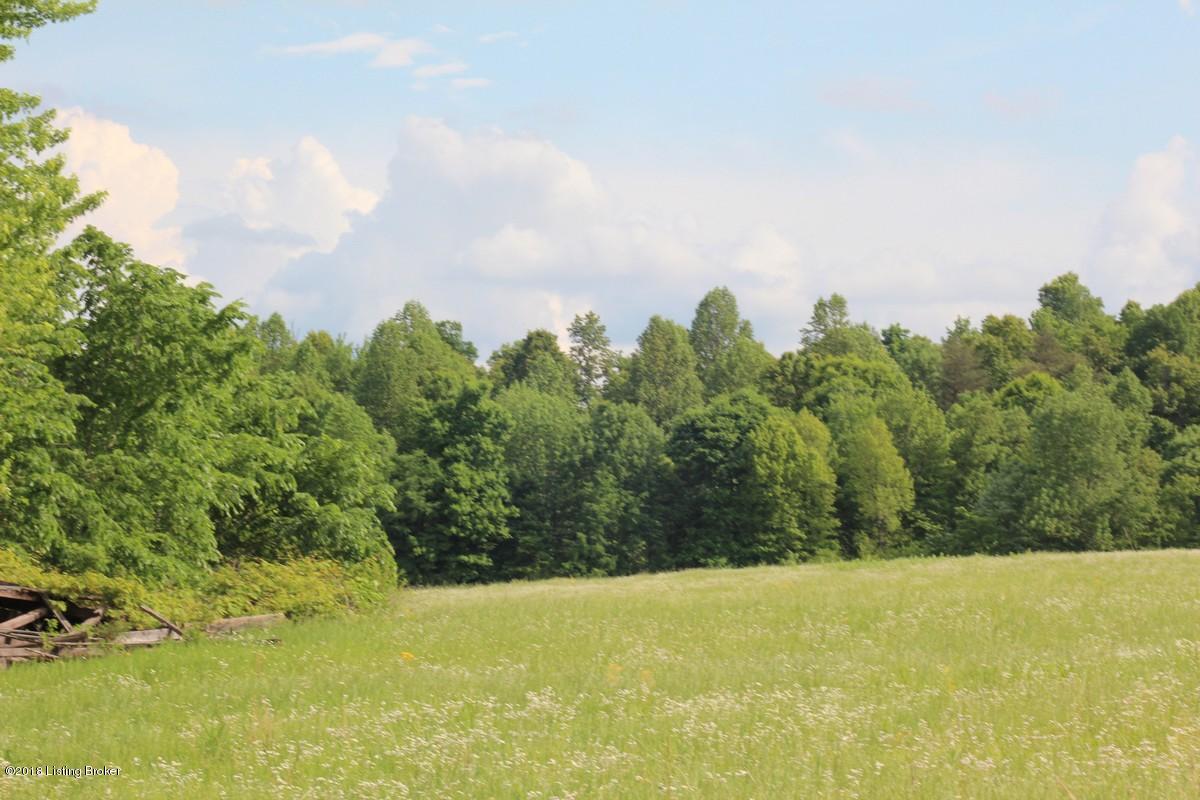 1000 Ready Jackson Road Caneyville, KY 42721 - Photo 28 of 31 Mudd Farms26