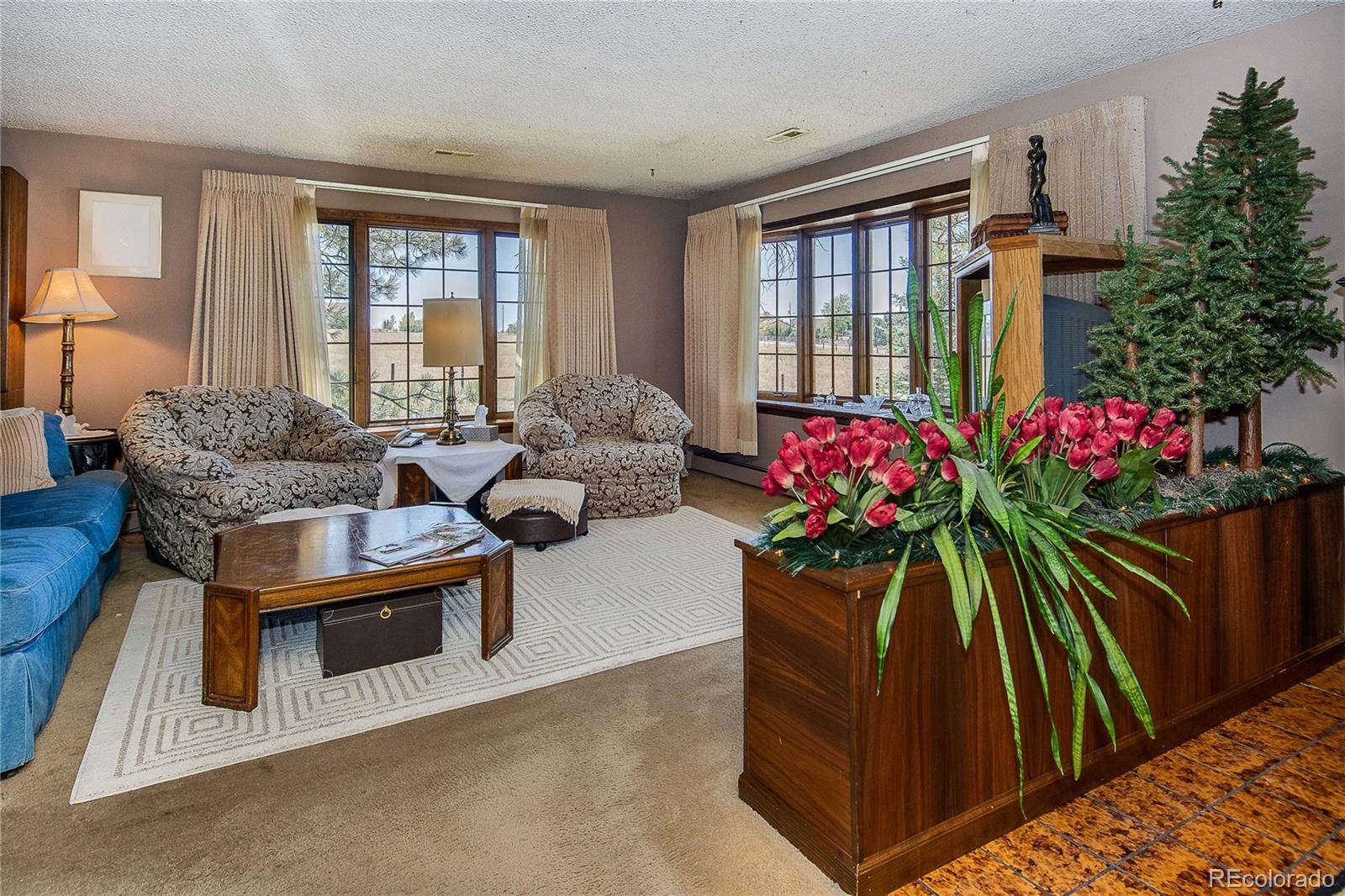 860 South Split Rock Road Bennett, CO 80102 - Photo 11 of 31 Gallery Image 11