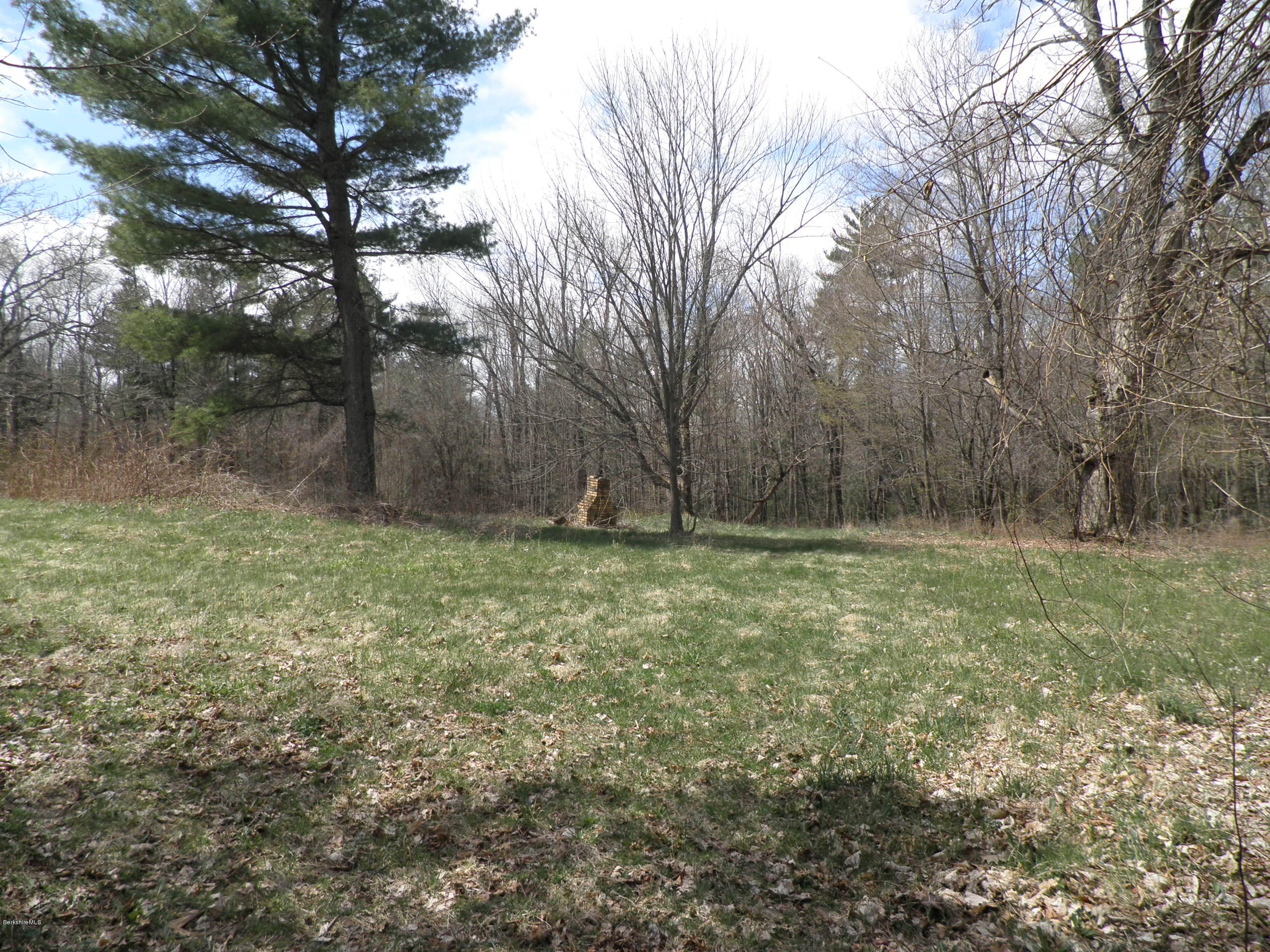 20 Swamp Road Richmond, MA 01201 - Photo 12 of 13 a fire hydrant in the middle of a field