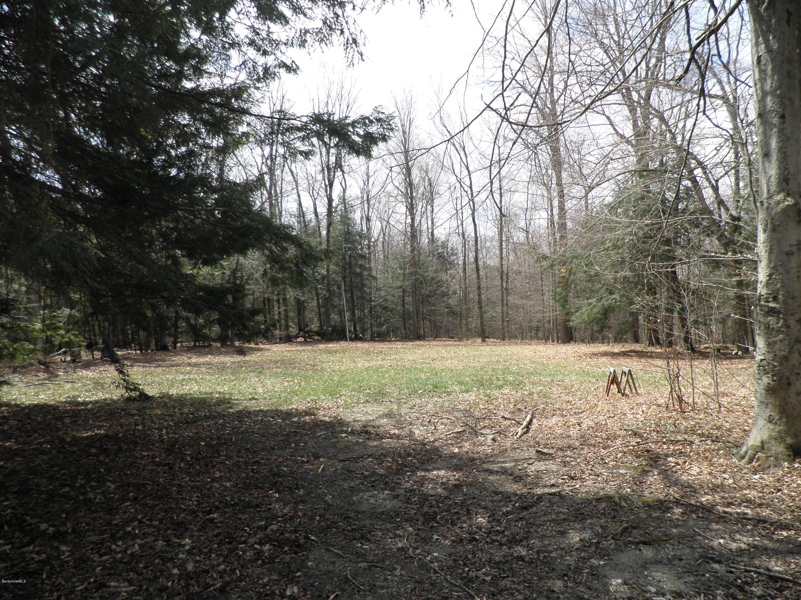 20 Swamp Road Richmond, MA 01201 - Photo 13 of 13 a big yard with lots of green space and trees