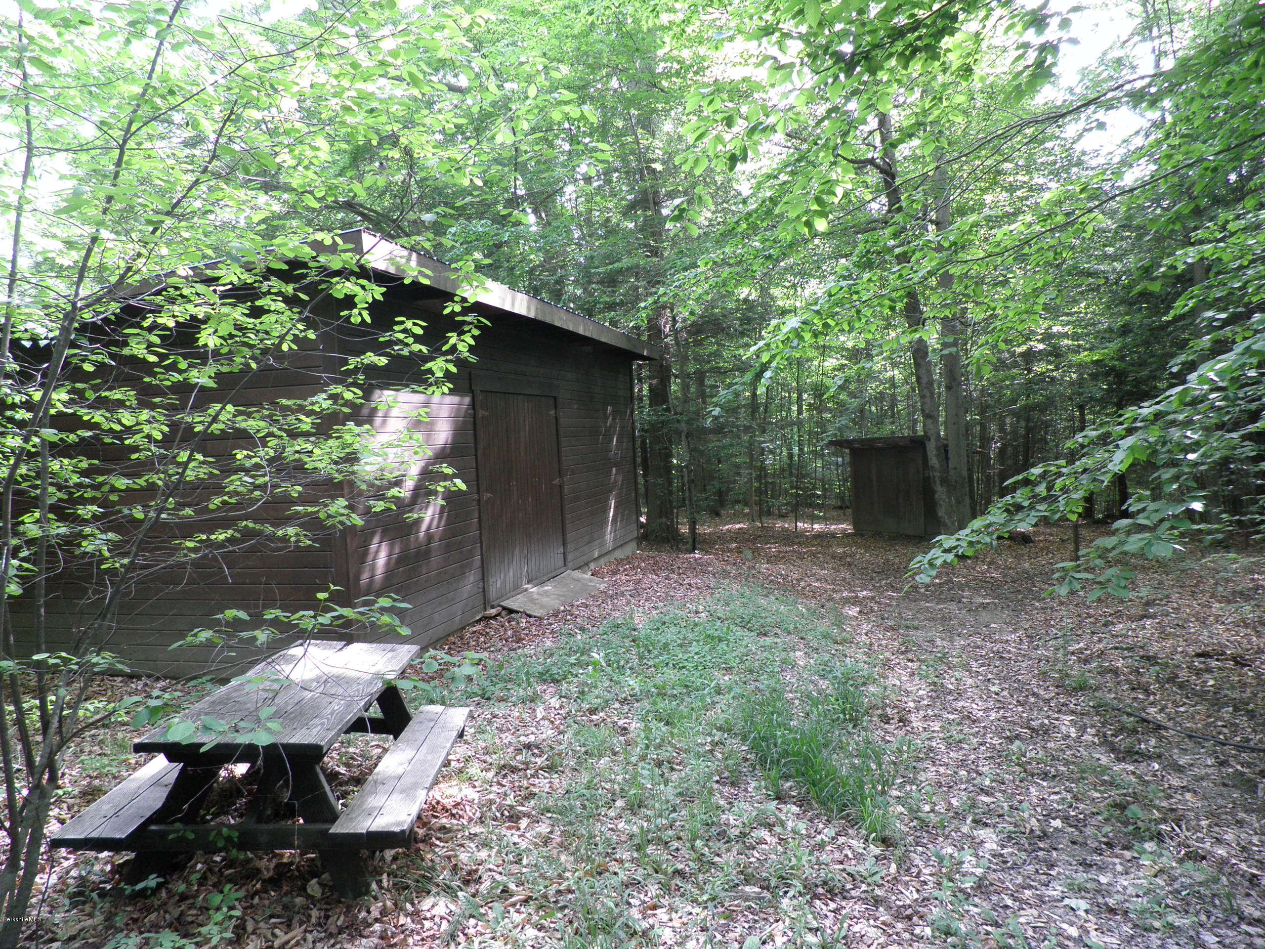 20 Swamp Road Richmond, MA 01201 - Photo 8 of 13 a backyard of a house with lots of green space