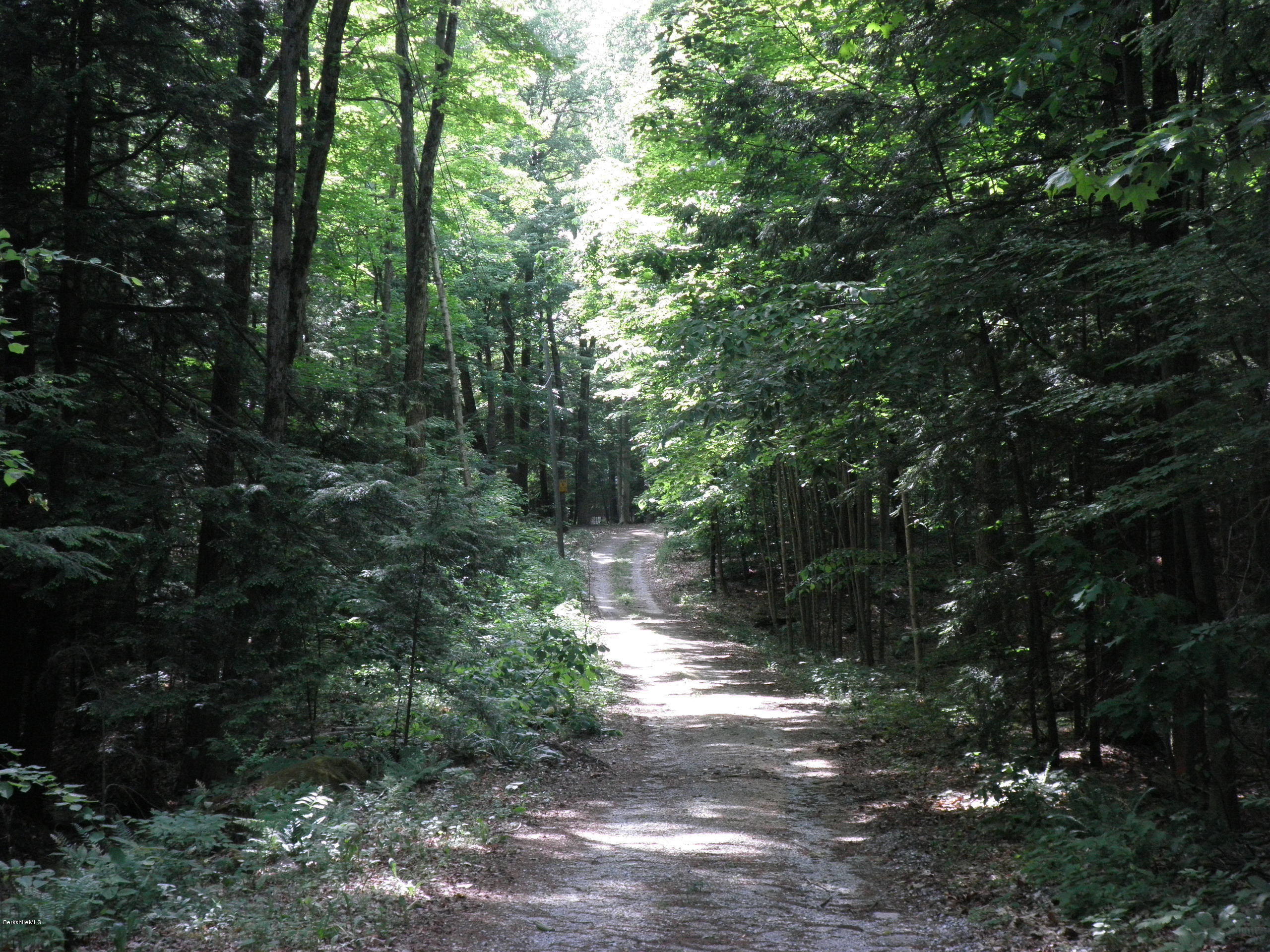 20 Swamp Road Richmond, MA 01201 - Photo 9 of 13 a view of a forest with trees in the background