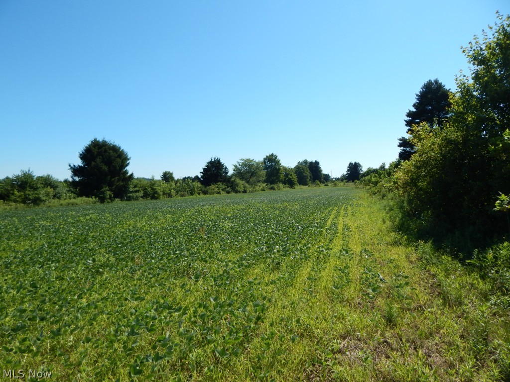 6950 Ridge Road Wadsworth, OH 44281 - Photo 15 of 20