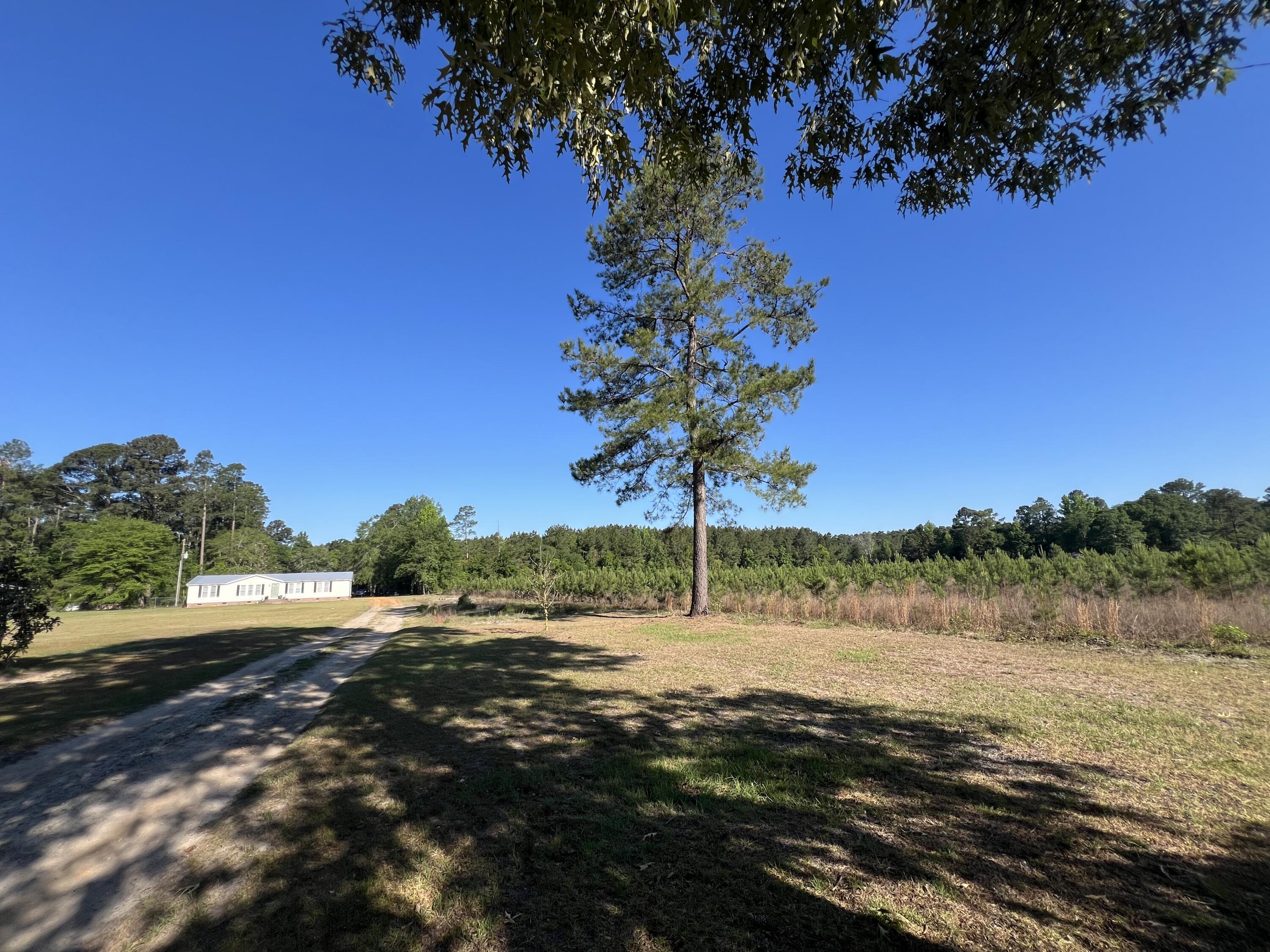 586 Scuffletown Road Ruffin, SC 29475 - Photo 44 of 47 IMG_1469