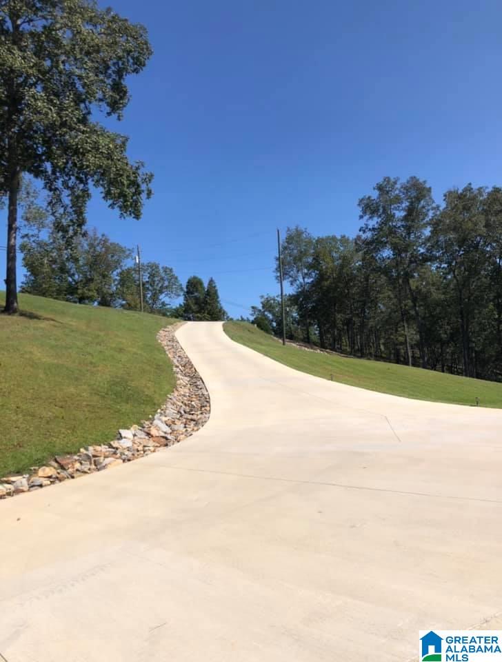1281 Mohawk Cliff Road Ohatchee, AL 36271 - Photo 4 of 50
