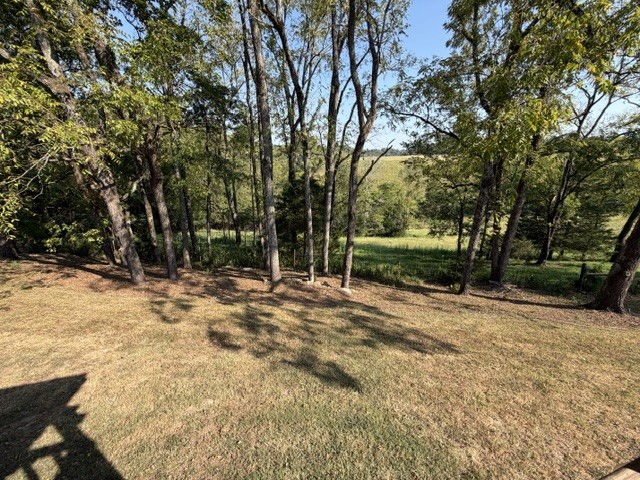 83 Buntley Hill Road Kelso, TN 37348 - Photo 8 of 22 Gallery Image 8