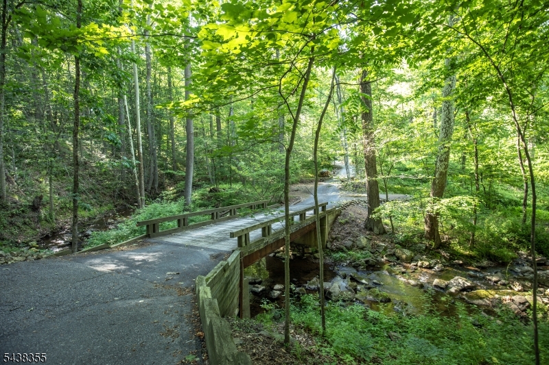 37 Guinea Hollow Road Lebanon, NJ 08833 - Photo 45 of 47