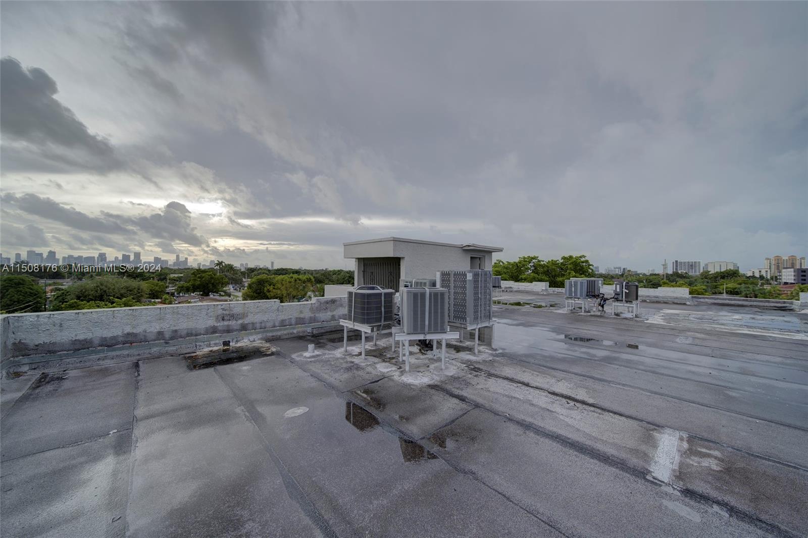 Coral Gate Miami, FL 33145 - Photo 6 of 35 a view of a dry yard with trees