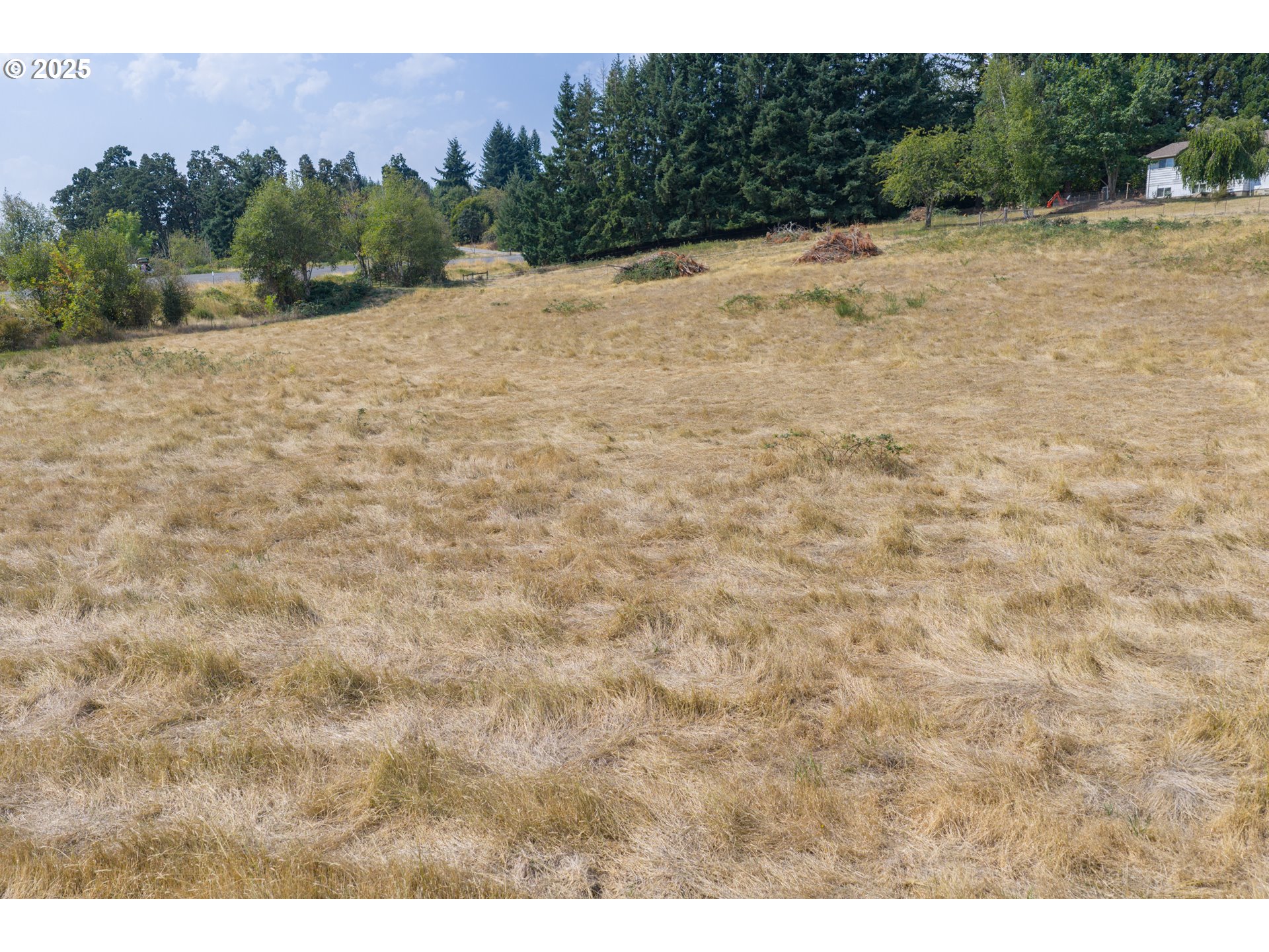 Golf Lane Sublimity, OR 97385 - Photo 8 of 10 a view of a dry yard