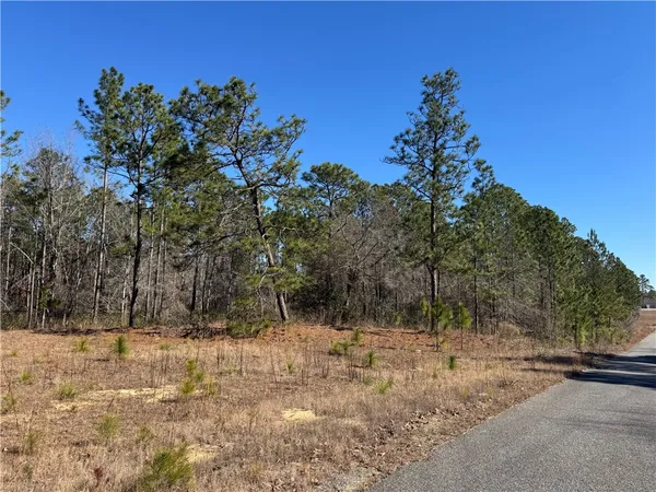 $24,900 | 0 North Morningside Drive, Cartersville, GA 30121