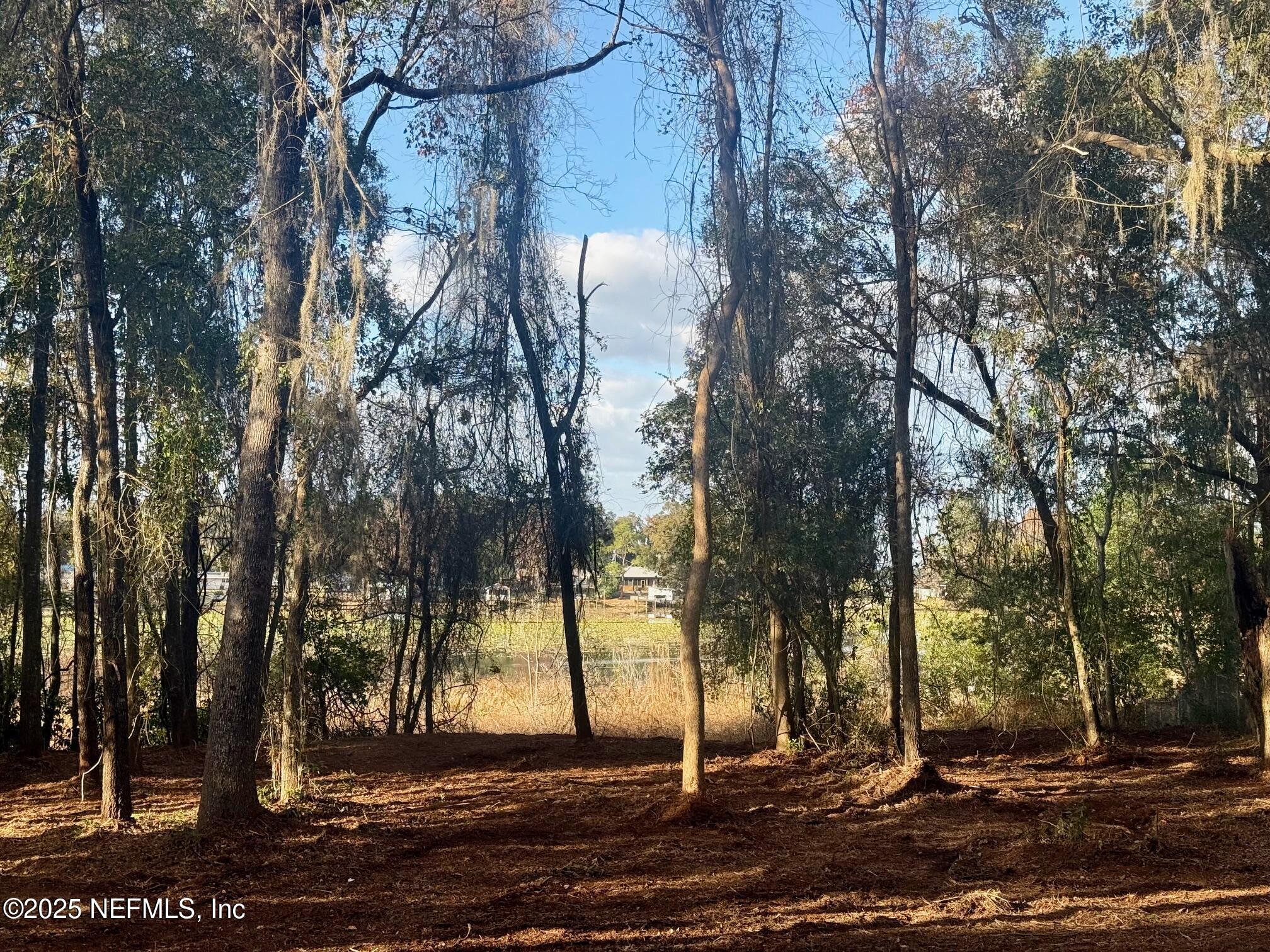 892 Lake Shore Terrace Interlachen, FL 32148 - Photo 4 of 11 a view of a park with large trees