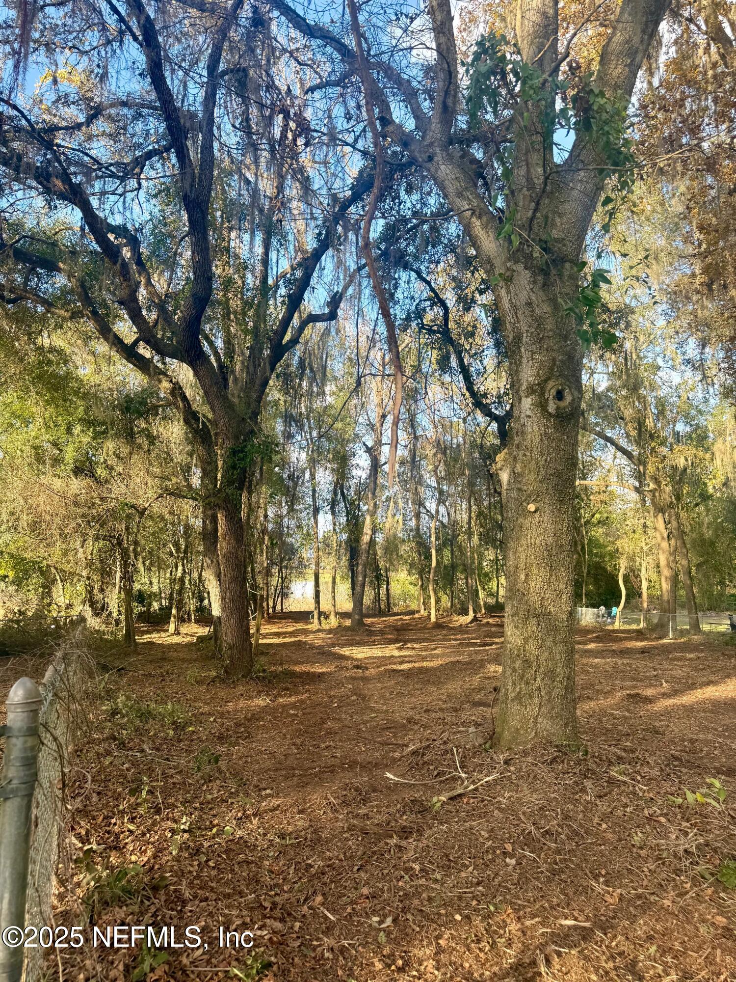 892 Lake Shore Terrace Interlachen, FL 32148 - Photo 6 of 11 a view of outdoor space with yard