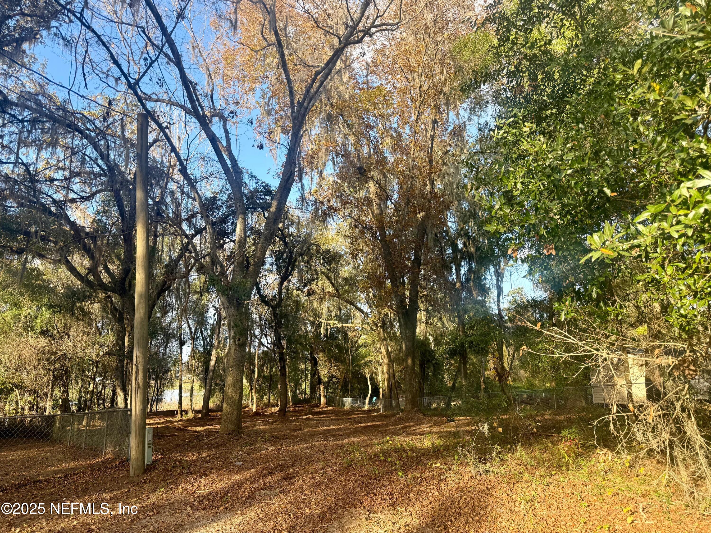 892 Lake Shore Terrace Interlachen, FL 32148 - Photo 7 of 11 a view of outdoor space and yard