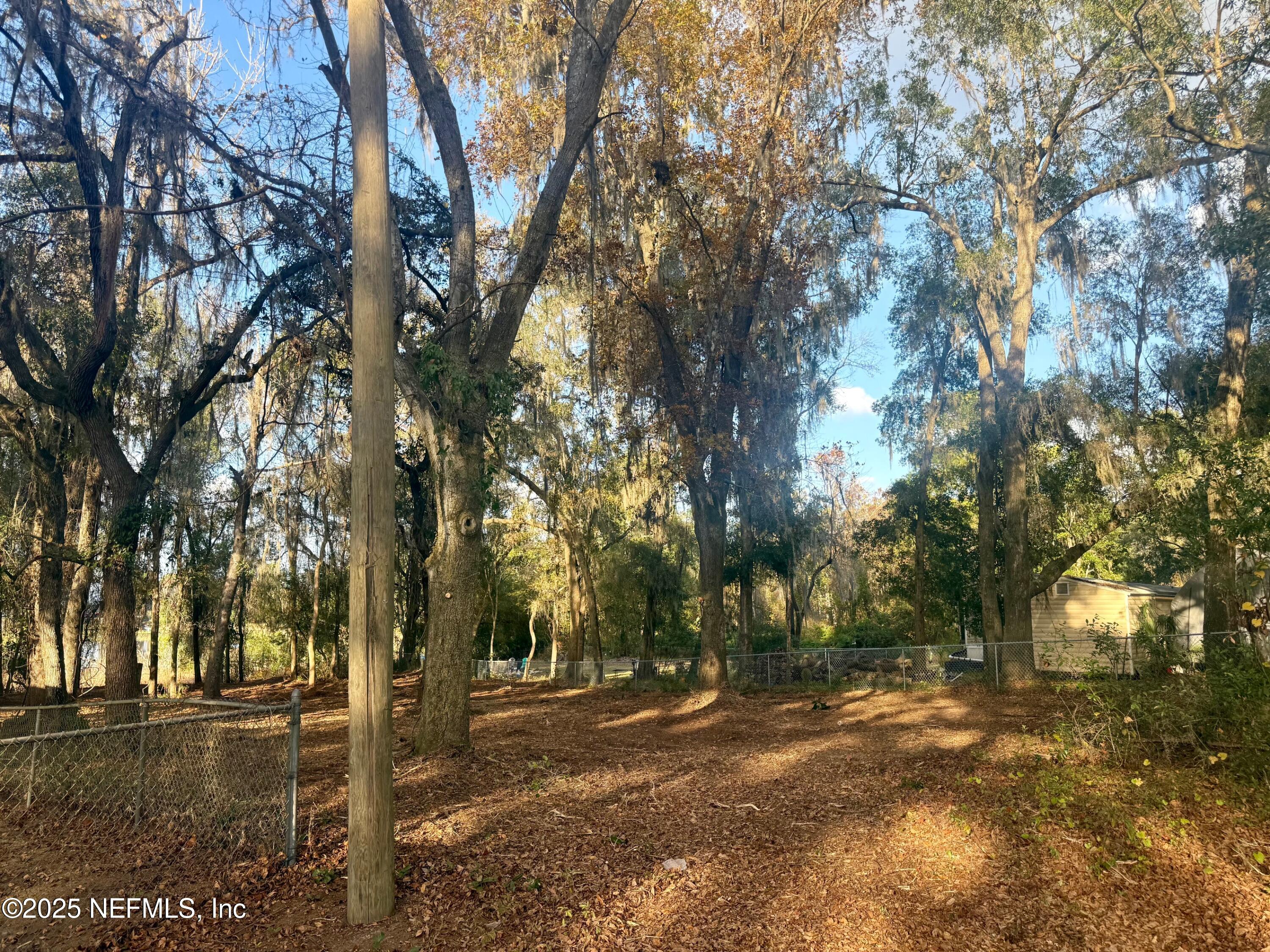 892 Lake Shore Terrace Interlachen, FL 32148 - Photo 8 of 11 a view of a yard with a tree