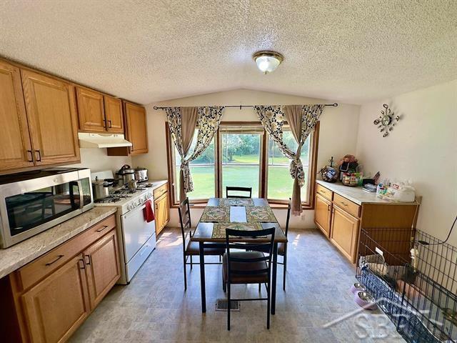 1633 South Dickenson Road Shepherd, MI 48883 - Photo 8 of 33