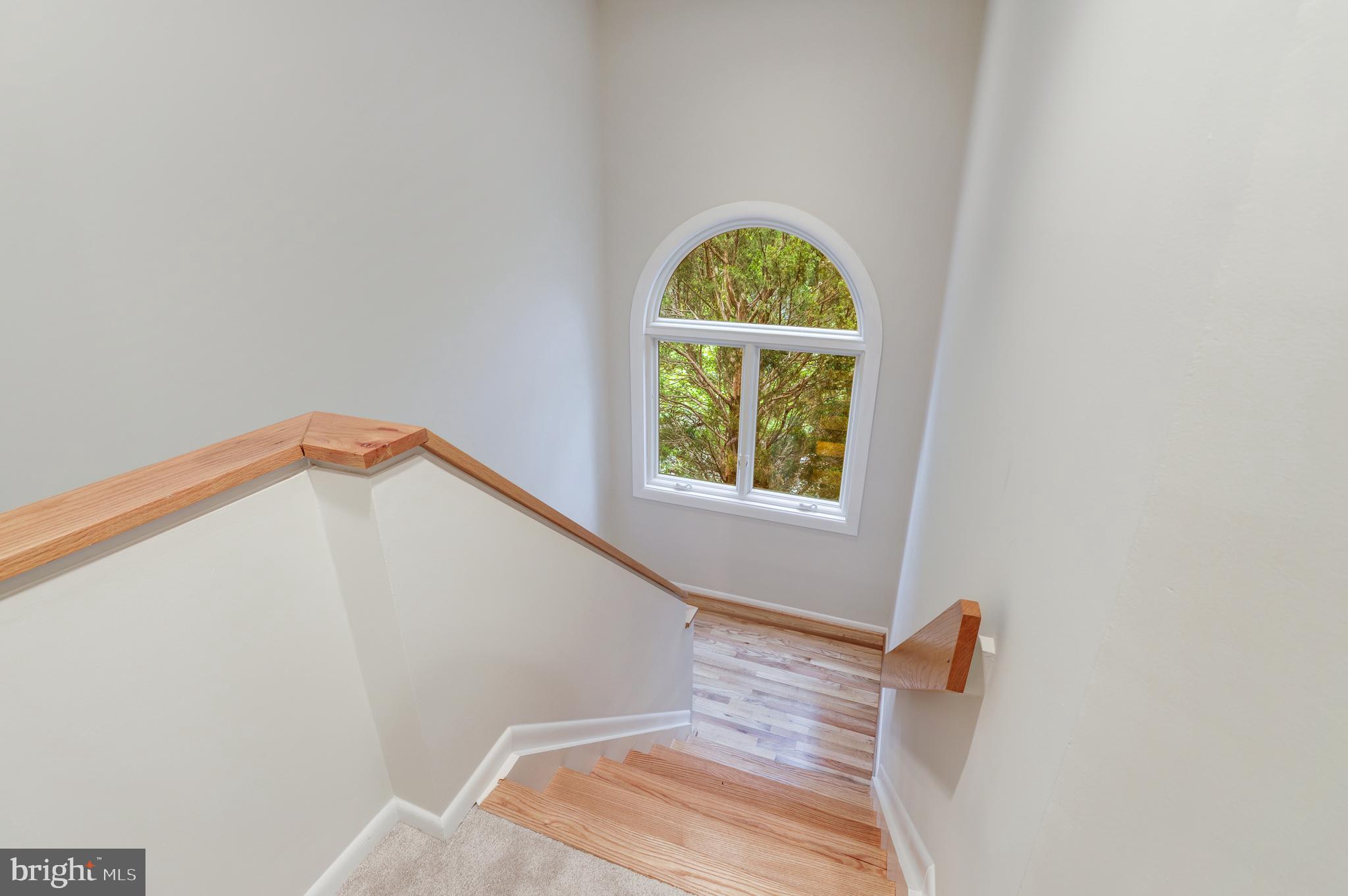 1924 Lakeport Way Reston, VA 20191 - Photo 21 of 68 Gallery Image 21