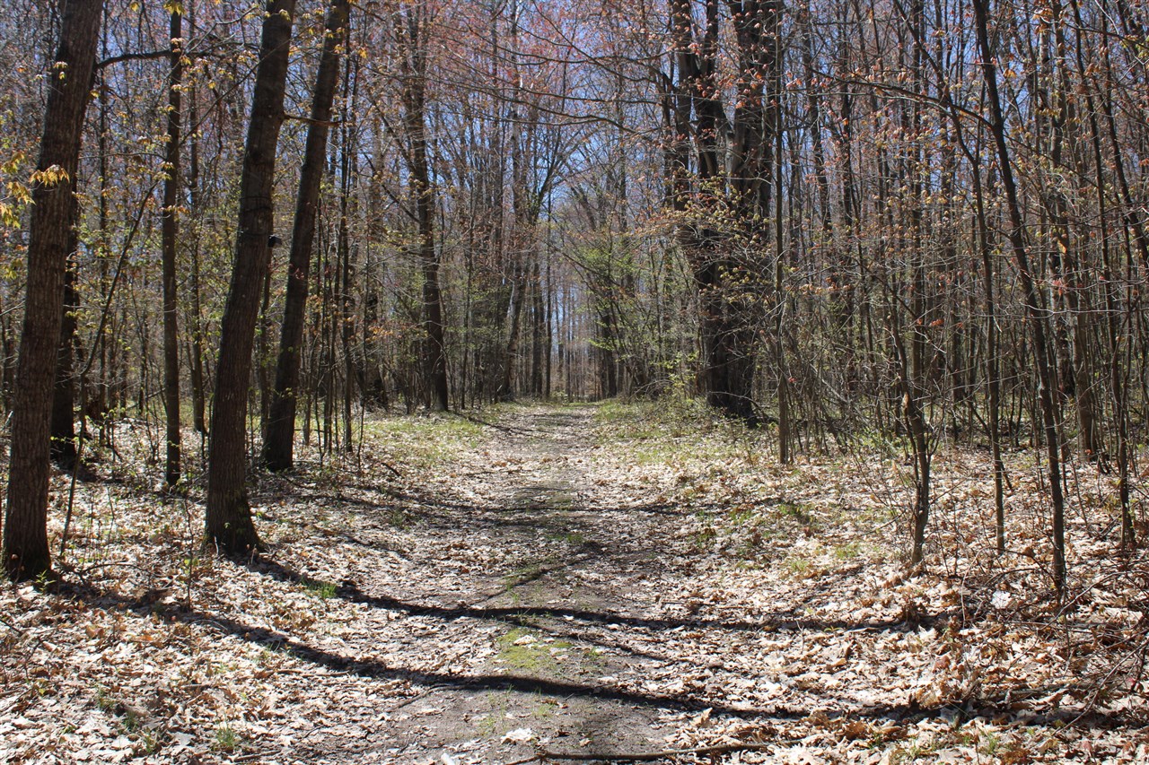 11401 Little George Lake Road Gladwin, MI 48624 - Photo 48 of 72