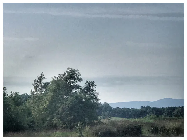 a view of a mountain