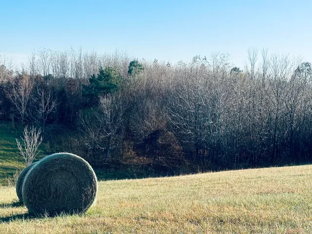 a view of a lake with a mountain in the background