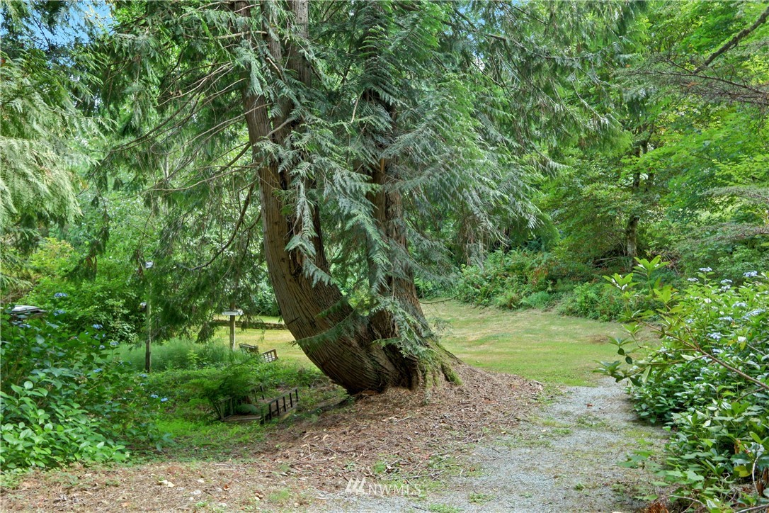 18415 West Spring Lake Drive Southeast Renton, WA 98058 - Photo 34 of 40