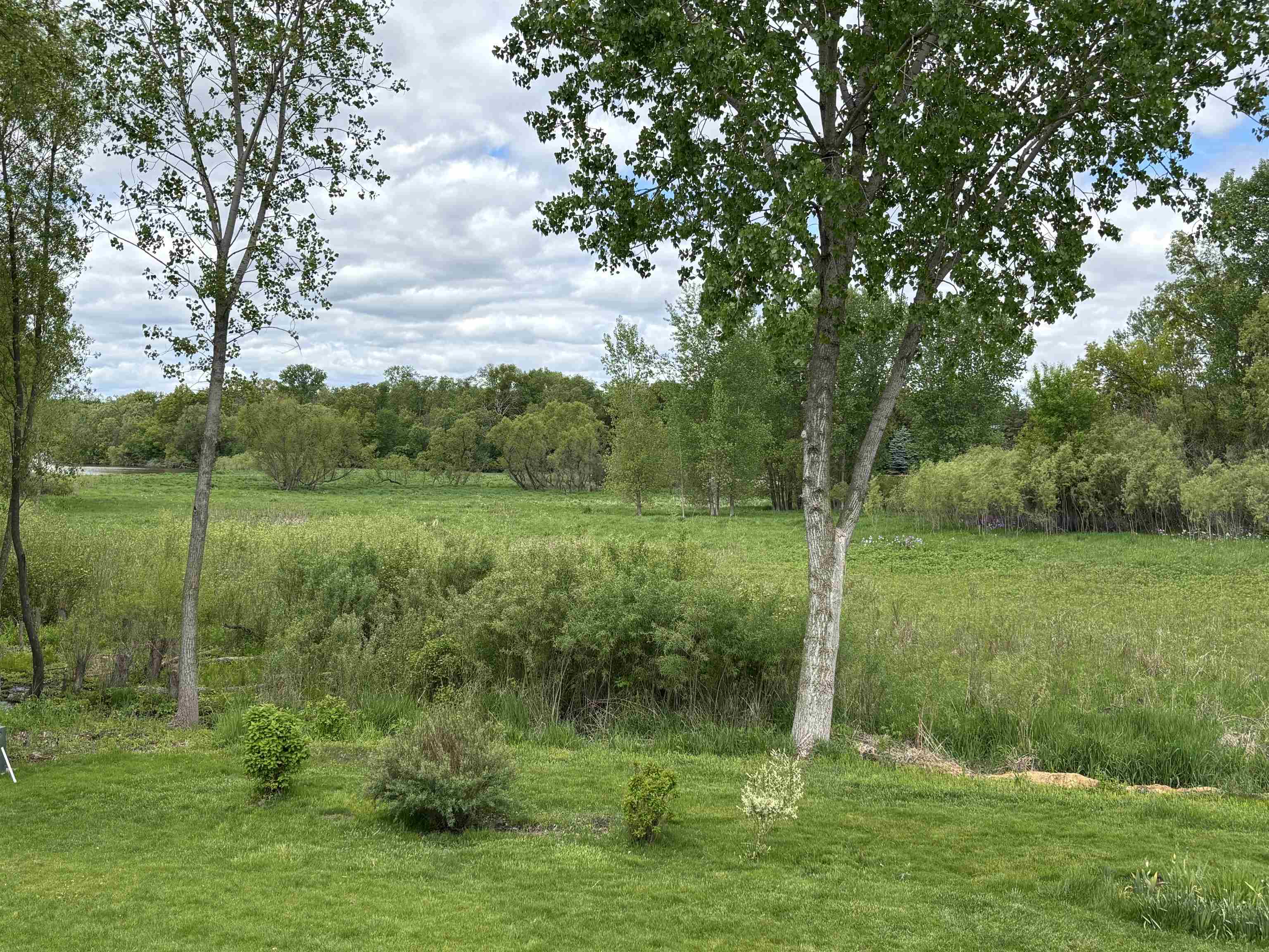 910 Riverview Court Marshall, WI 53559 - Photo 5 of 33