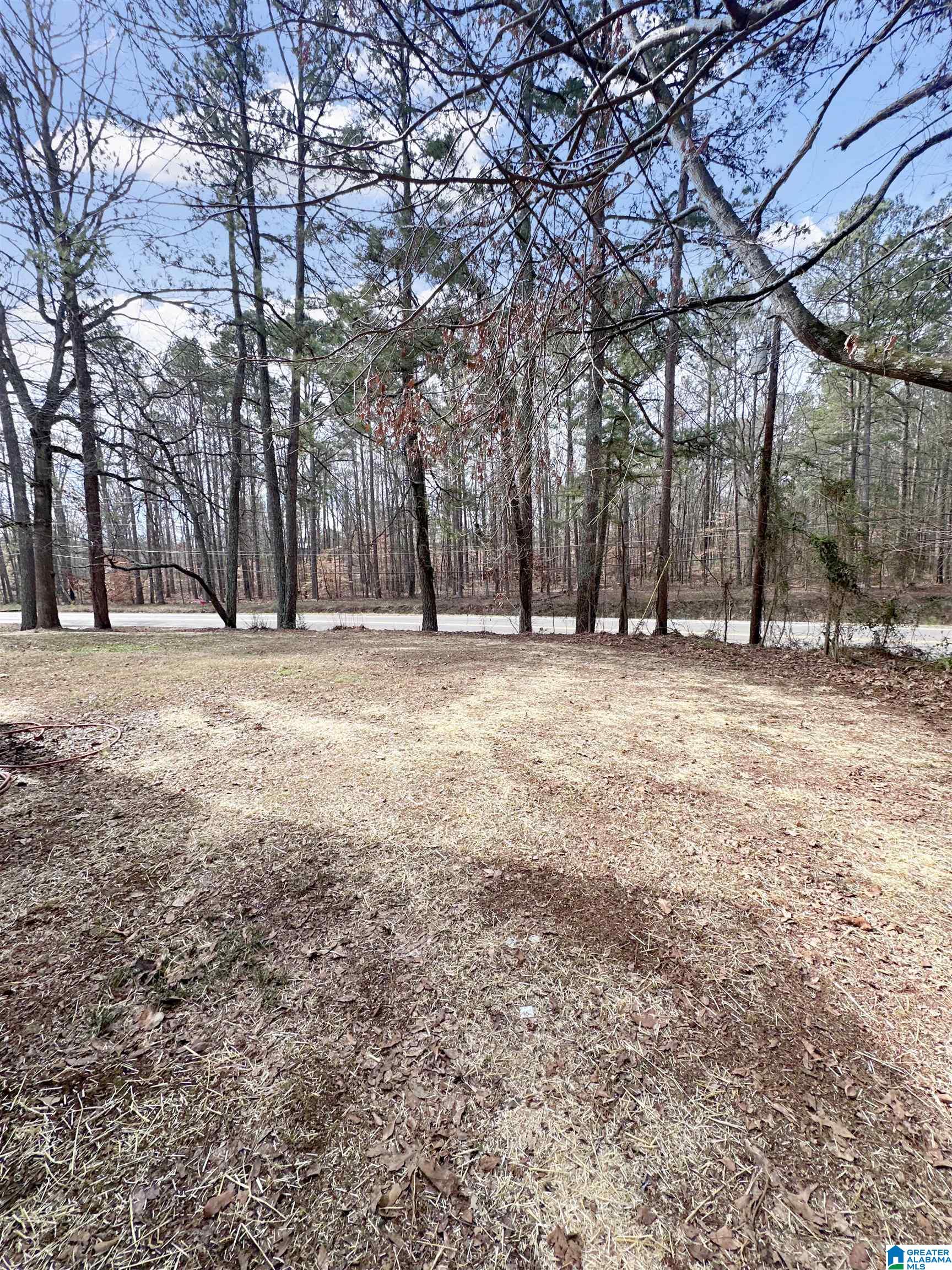 6103 Saks Road Anniston, AL 36206 - Photo 31 of 32