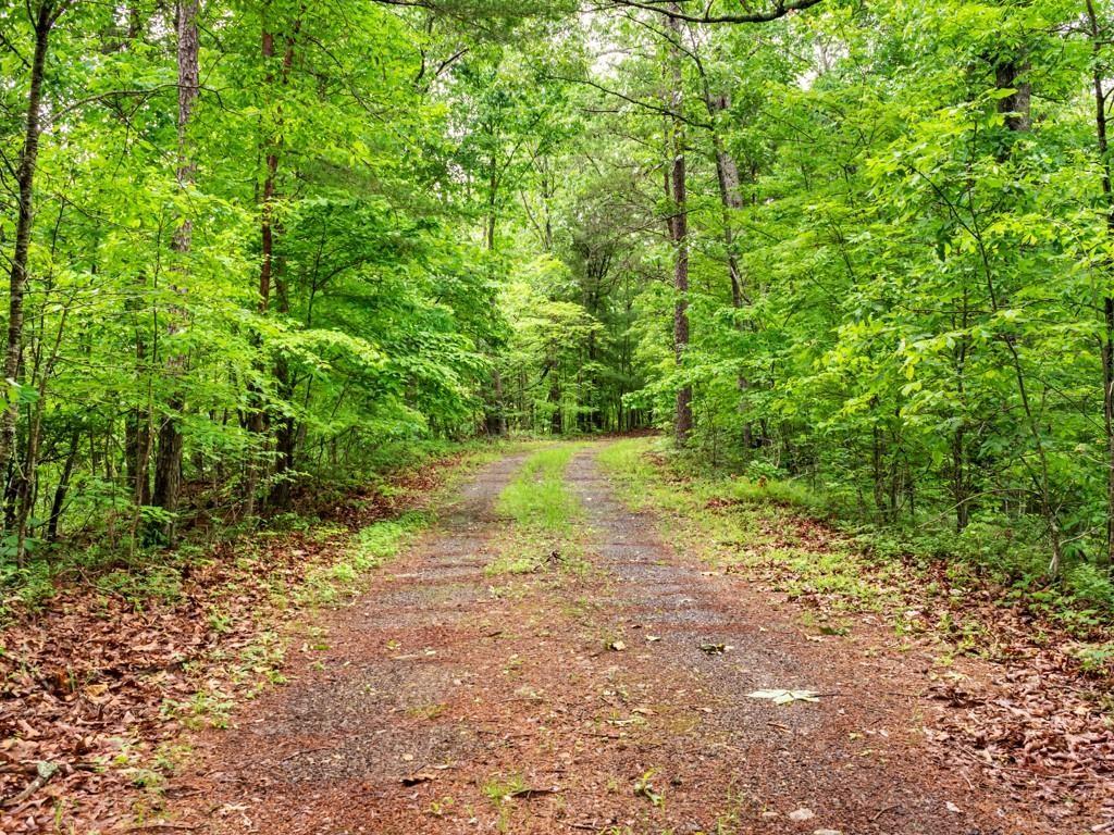 772 Naomi Court Ranger, GA 30734 - Photo 2 of 27
