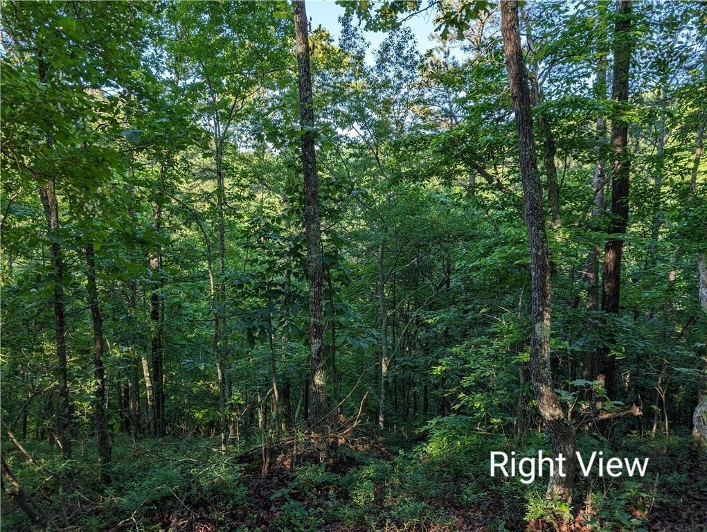 772 Naomi Court Ranger, GA 30734 - Photo 4 of 27
