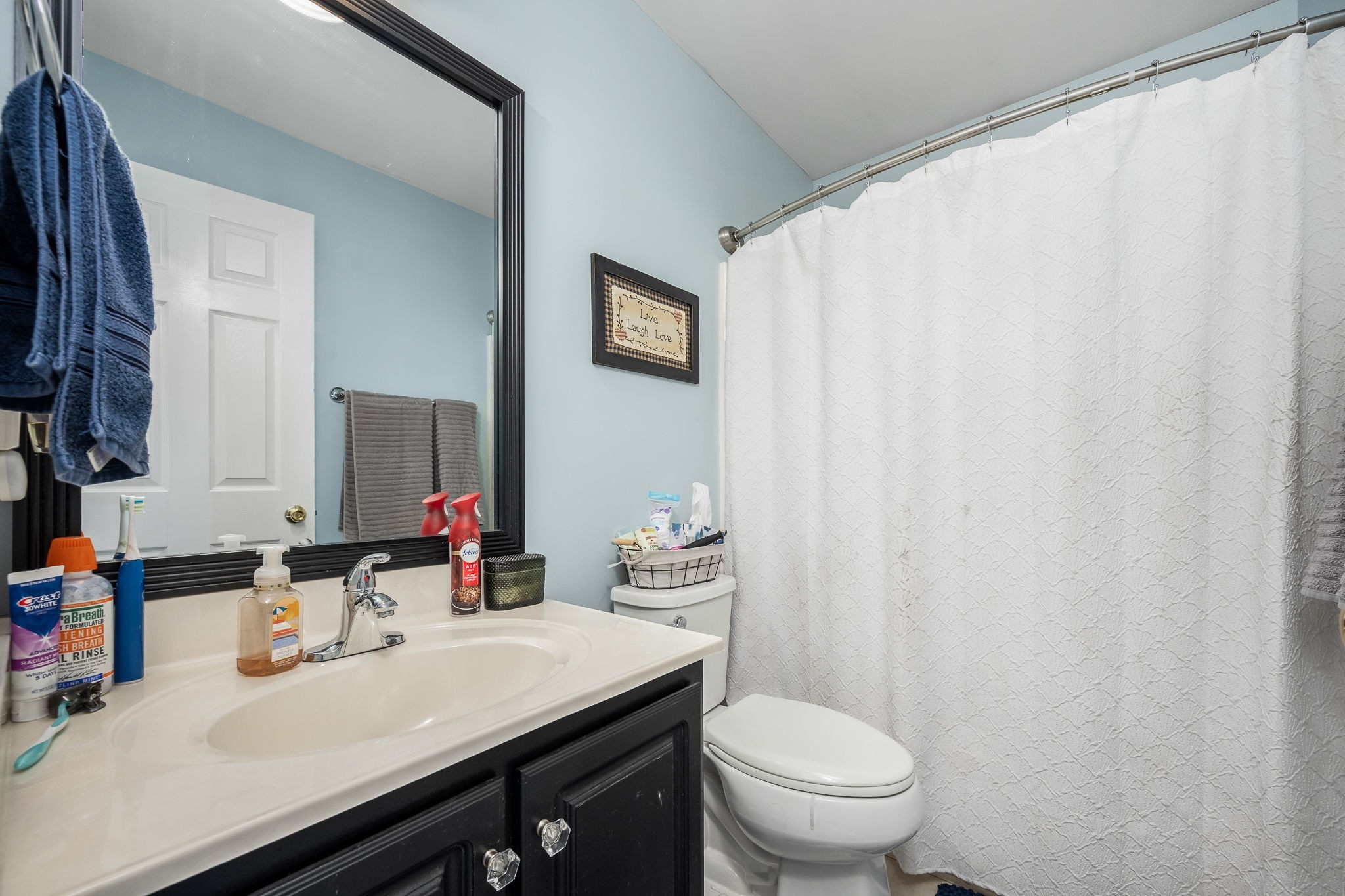 4330 River Lane Milton, TN 37118 - Photo 24 of 44 a bathroom with a sink a toilet and a mirror