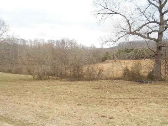 0 County Road 189 Decatur, TN 37322 - Photo 1 of 5 Gallery Image 1
