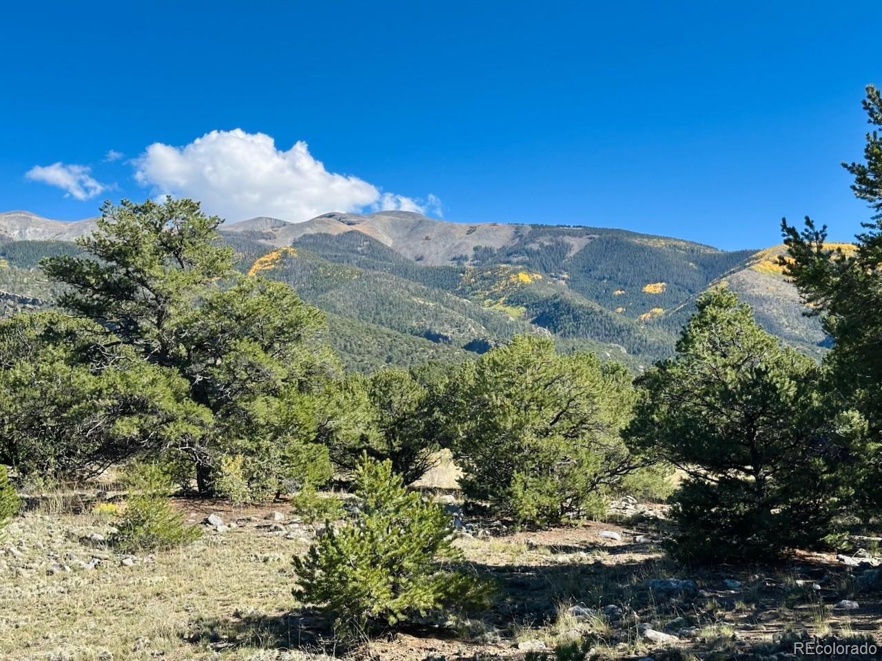 133 Cedar Ridge Road Mosca, CO 81146 - Photo 4 of 12