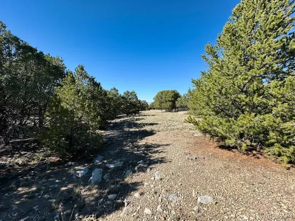 $25,000 | 133 Cedar Ridge Road, Mosca, CO 81146