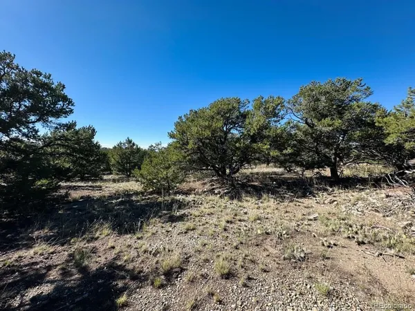 $25,000 | 133 Cedar Ridge Road, Mosca, CO 81146