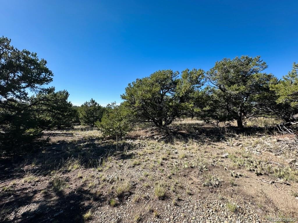 133 Cedar Ridge Road Mosca, CO 81146 - Photo 7 of 12