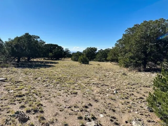 $25,000 | 133 Cedar Ridge Road, Mosca, CO 81146