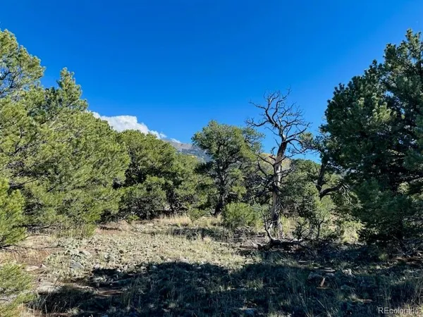 $25,000 | 133 Cedar Ridge Road, Mosca, CO 81146