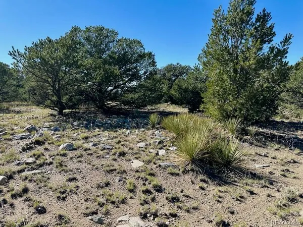 $25,000 | 133 Cedar Ridge Road, Mosca, CO 81146