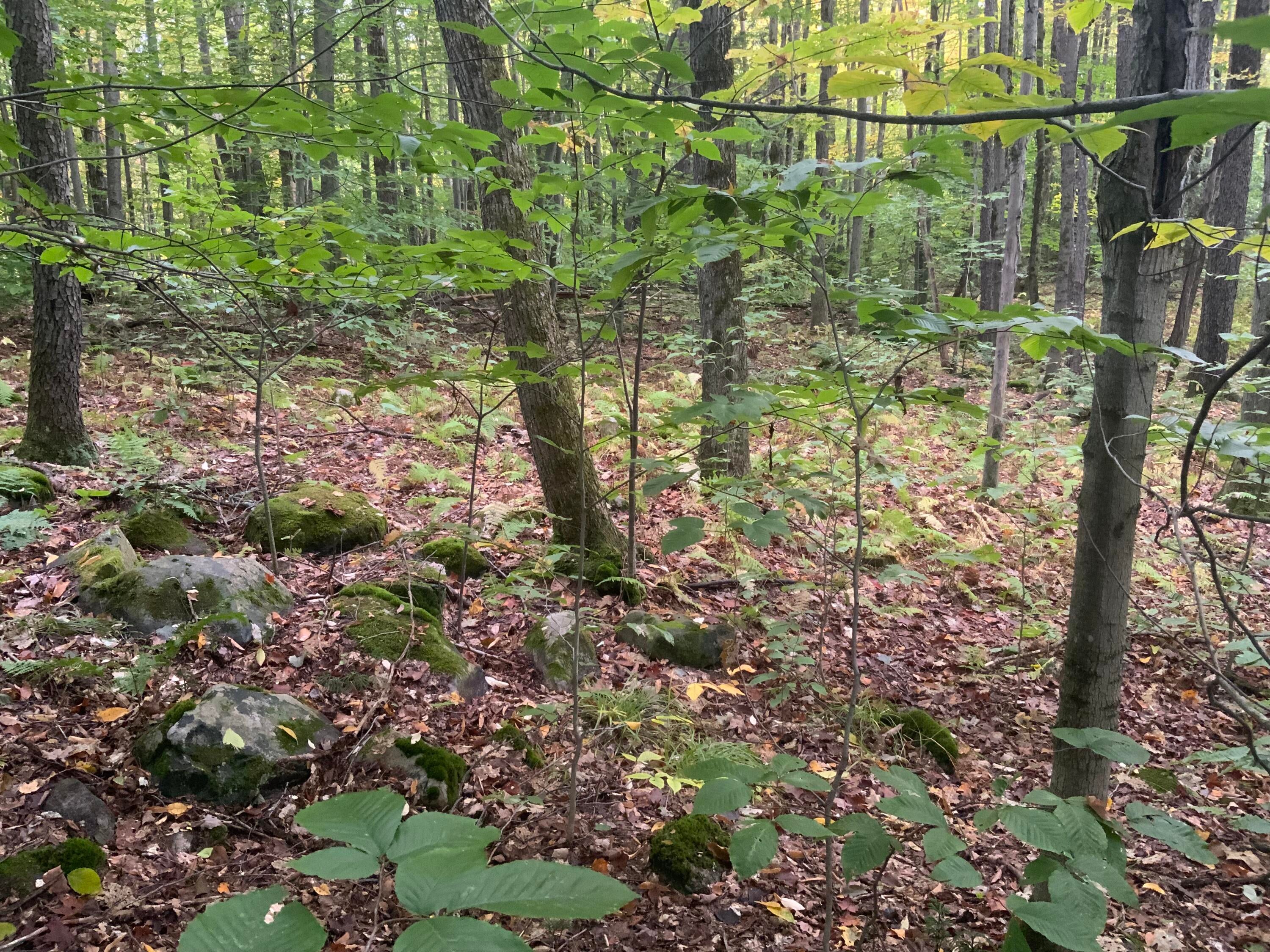 0 Baker Road North Bangor, NY 12966 - Photo 2 of 4 Gallery Image 2