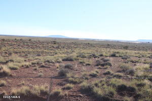 148 Red Dog Road Winslow, AZ 86047 - Photo 30 of 38 202661_21