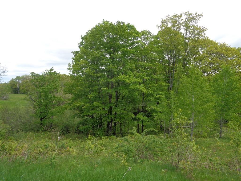M8-l50 River Road Norridgewock, ME 04957 - Photo 13 of 23 2