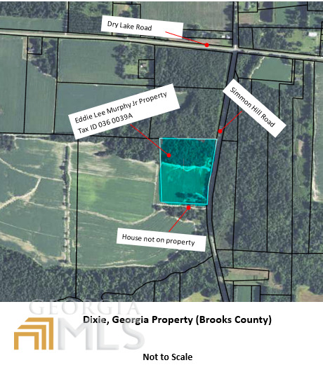 0 Simmon Hill Road Dixie, GA 31629 - Photo 1 of 1