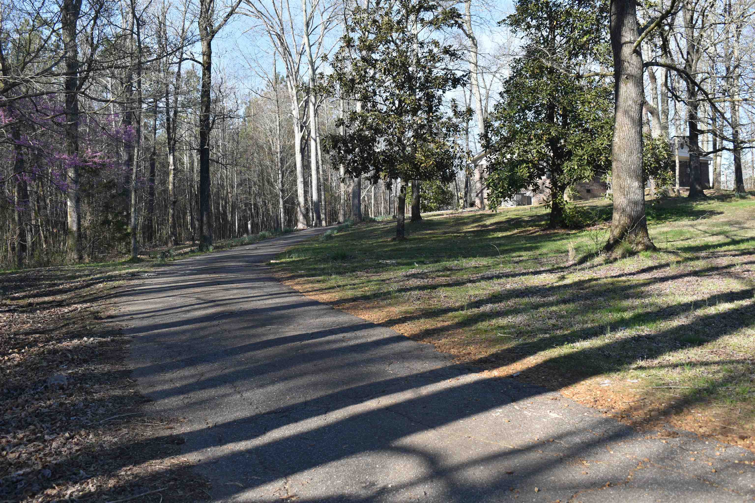 255 West 57th Highway Ramer, TN 38367 - Photo 3 of 24 Gallery Image 3
